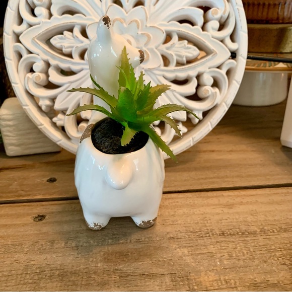 🌱No Drama Lama Planter ~Porcelain~Succulent~farmhouse~hobby Lobby~cottagecore - Picture 4 of 4